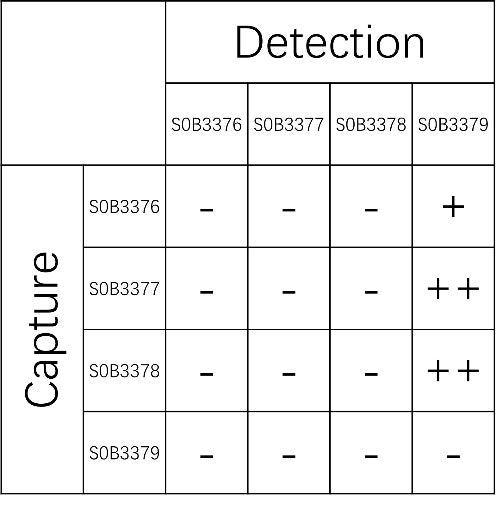 FGF19 Recombinant Rabbit mAb (SDT-1070-236)