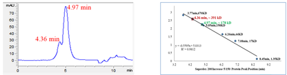 USP48 Protein