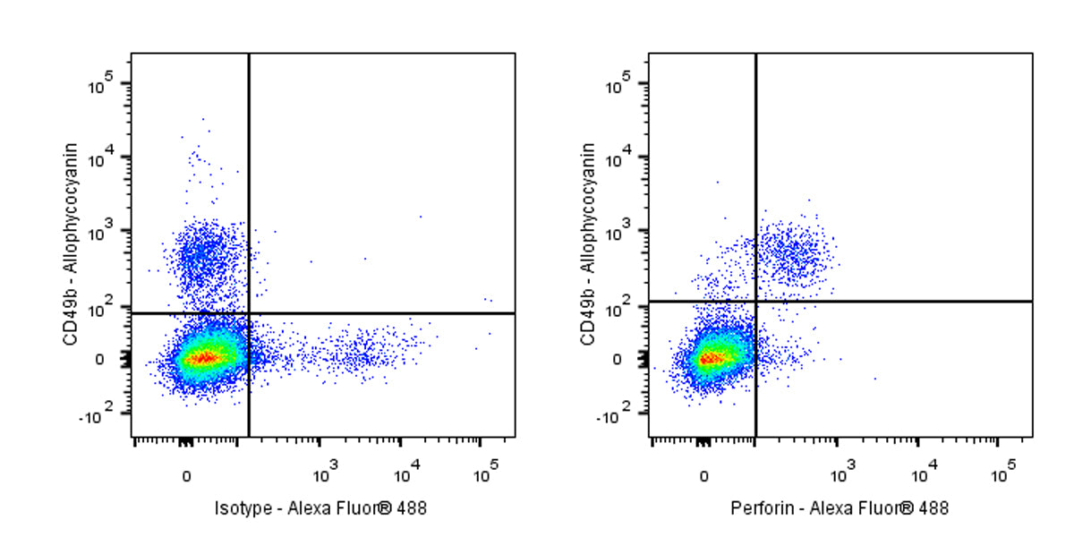Alexa Fluor® 488 Rat Anti-Mouse Perforin Antibody (S-R644)