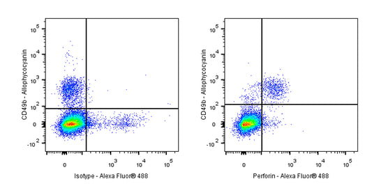 Alexa Fluor® 488 Rat Anti-Mouse Perforin Antibody (S-R644)