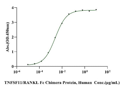 TNFSF11/RANKL Fc Chimera Protein, Human