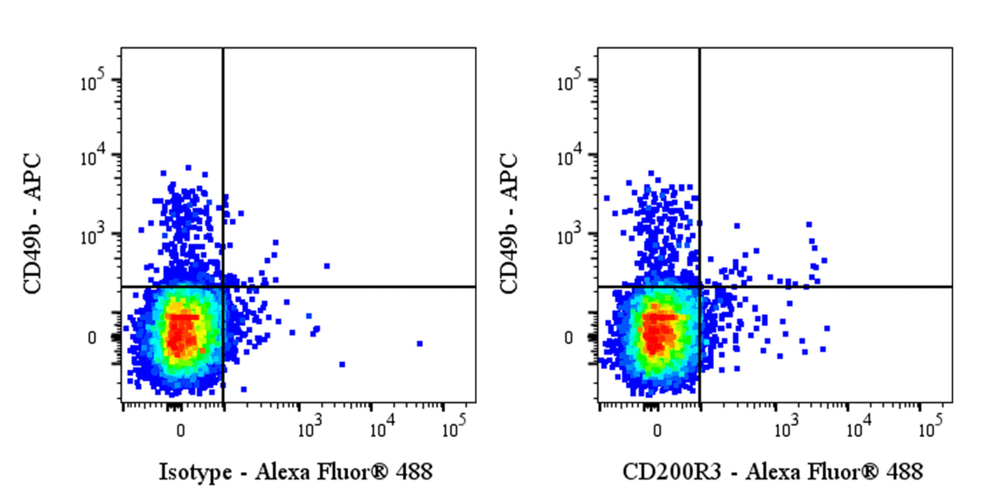 Rat Anti-Mouse CD200R3 Antibody (Ba13)