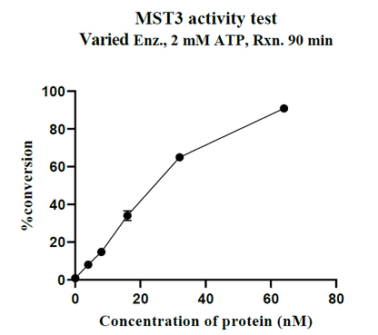 MST3 GST Tag Protein, Human