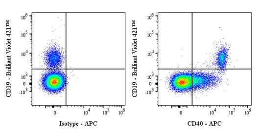APC Rabbit Anti-Human CD40 Antibody (S-145-45)