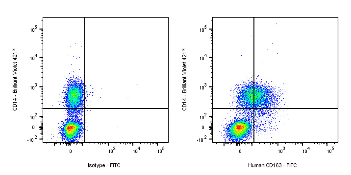 FITC Mouse Anti-Human CD163 Antibody (GHI/61)