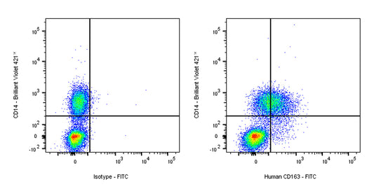 FITC Mouse Anti-Human CD163 Antibody (GHI/61)