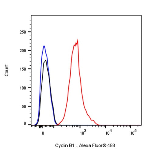 Cyclin B1 Recombinant Rabbit mAb (S-1407-224)