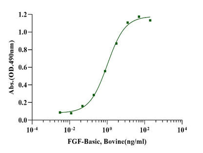 FGF-basic Protein, Bovine