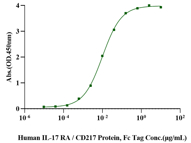 IL-17A Protein, Rat