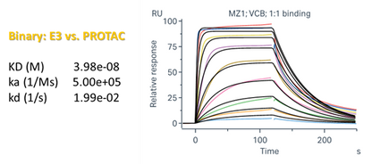VHL/Elongin-C/Elongin-B Complex, His Tag Protein