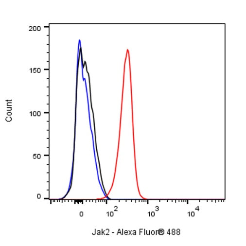 Jak2 Recombinant Rabbit mAb (S-1316-5)
