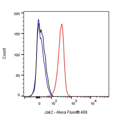 Jak2 Recombinant Rabbit mAb (S-1316-5)