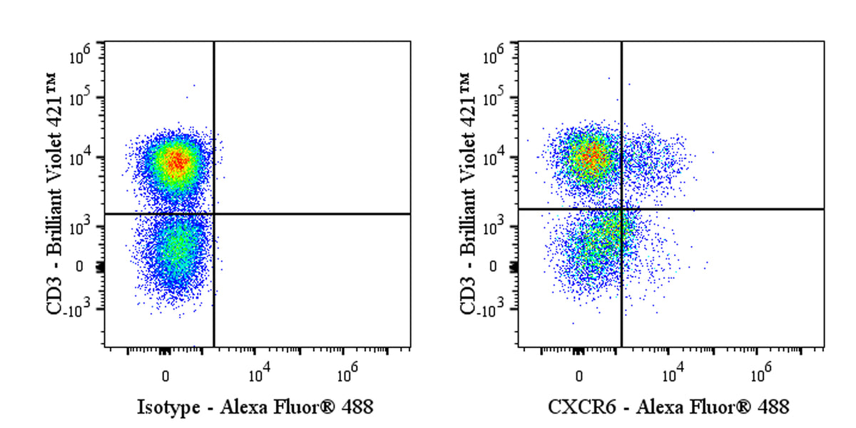 Alexa Fluor® 488 Mouse Anti-Human CD186 (CXCR6) Antibody (S-3884)