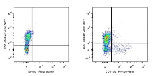 PE Mouse Anti-Rat CD11b/c Antibody (OX-42)