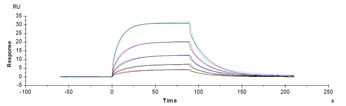 PD-L1 His Tag Protein, Human