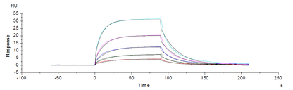 PD-L1 His Tag Protein, Human