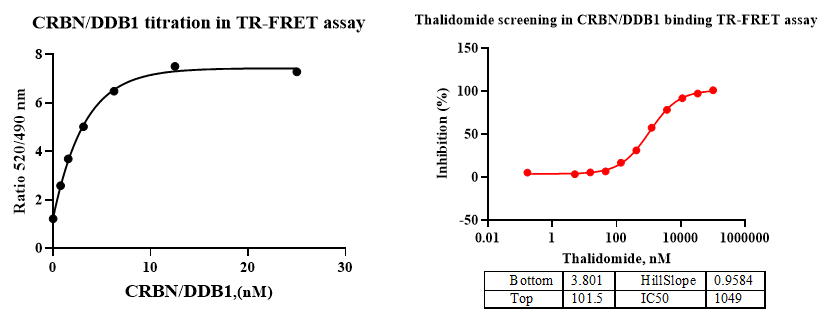 CRBN/DDB1 Protein, Mouse