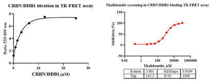 CRBN/DDB1 Protein, Mouse