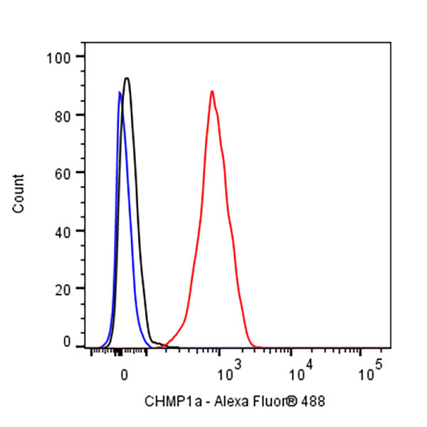 CHMP1a Recombinant Rabbit mAb (S-1651-159)