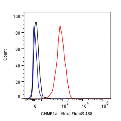 CHMP1a Recombinant Rabbit mAb (S-1651-159)
