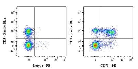 PE Rat Anti-Mouse CD73 Antibody (S-R636)