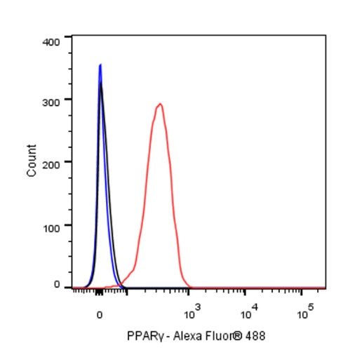 PPARγ Recombinant Rabbit mAb (SDT-556-108)