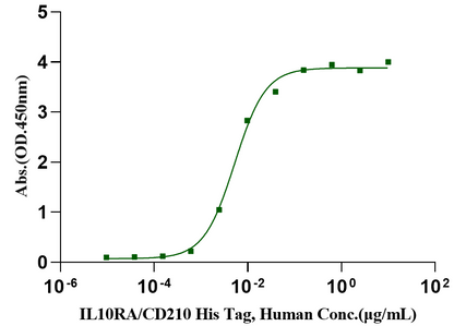 IL-10 Protein, Feline