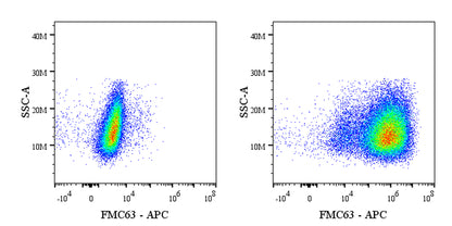 FMC63 Recombinant Mouse mAb (APC Conjugate) (S-5031)