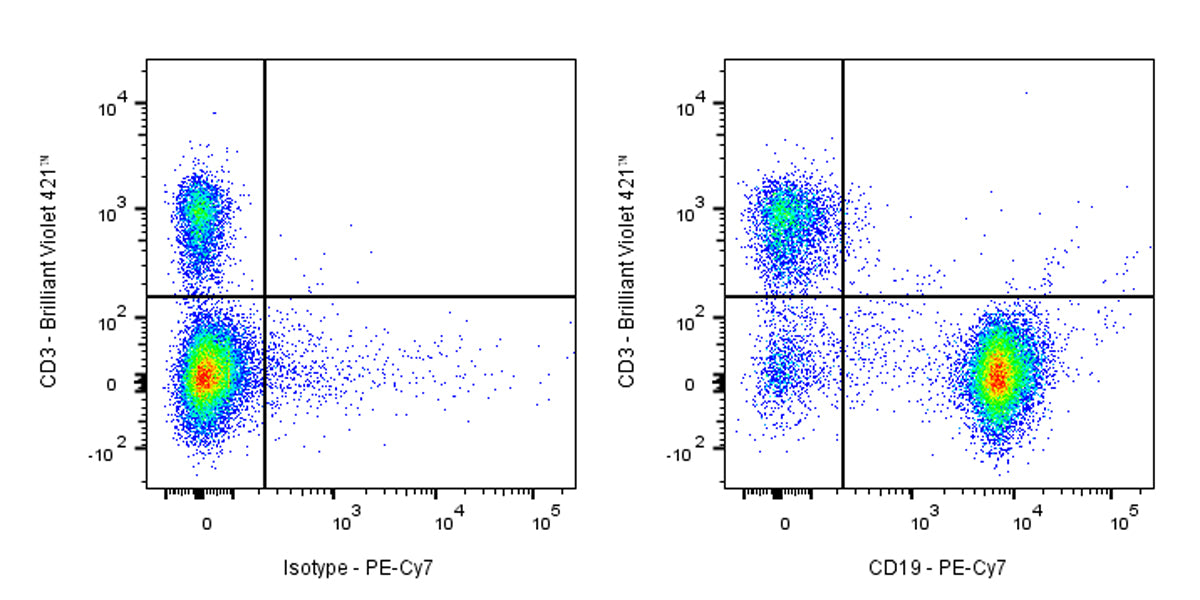 PE-Cy7 Rat Anti-Mouse CD19 Antibody (1D3)