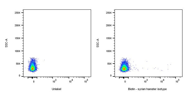 Biotin Syrian Hamster Isotype control