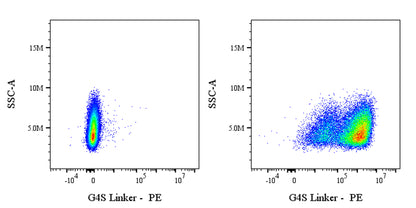 G4S Linker Recombinant Rabbit mAb (PE Conjugate) (S-5030)