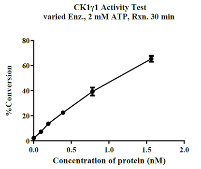 CSNK1G1(CK1γ1) GST Tag Protein, Human