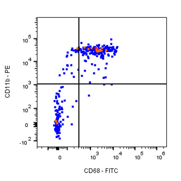 FITC Mouse Anti-Rat CD68 Antibody (S-R674)
