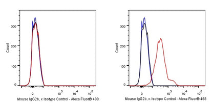 Alexa Fluor® 488 Mouse IgG2b, κ Isotype Control Antibody (S-844-22)
