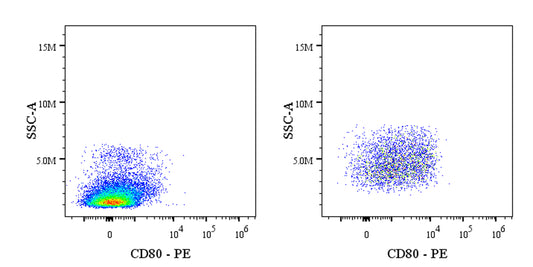 PE Armenian hamster Anti-Mouse CD80 Antibody (16-10A1)
