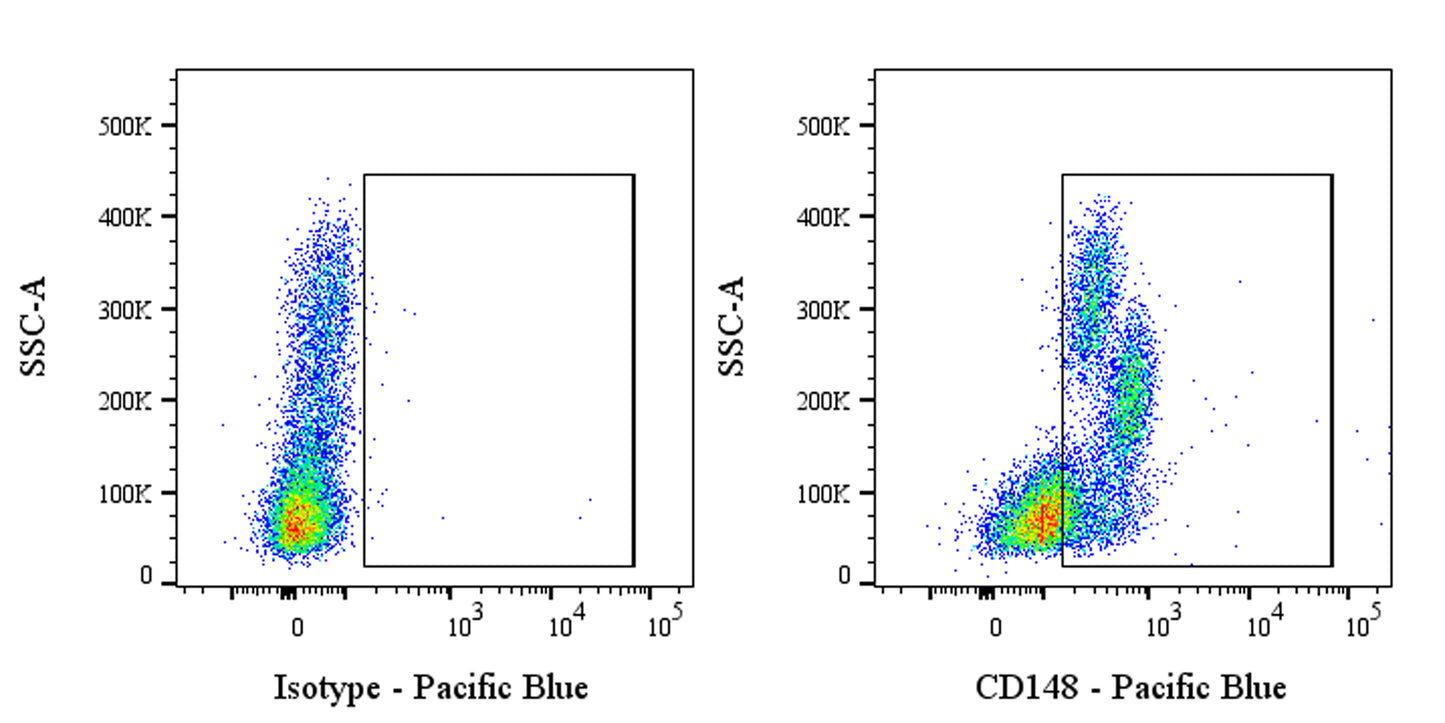 Pacific Blue Mouse Anti-Human CD148 Antibody (S-3121)