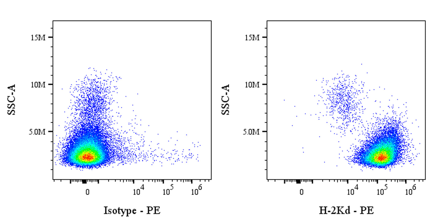 PE Mouse Anti-Mouse H-2Kd Antibody (SF1-1.1)