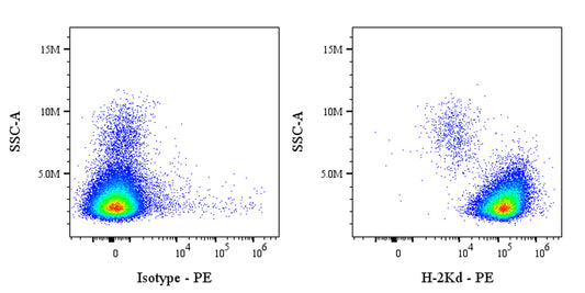 PE Mouse Anti-Mouse H-2Kd Antibody (SF1-1.1)