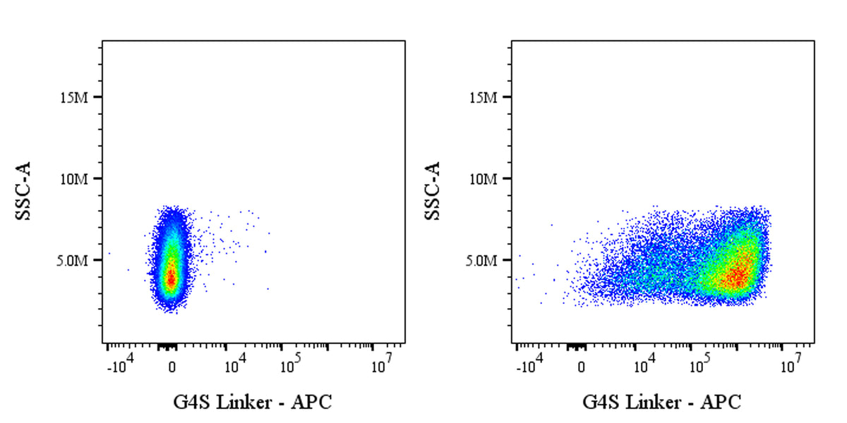 G4S Linker Recombinant Rabbit mAb (APC Conjugate) (S-5030)