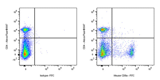FITC Rat Anti-Mouse CD8α Antibody (53-6.7)