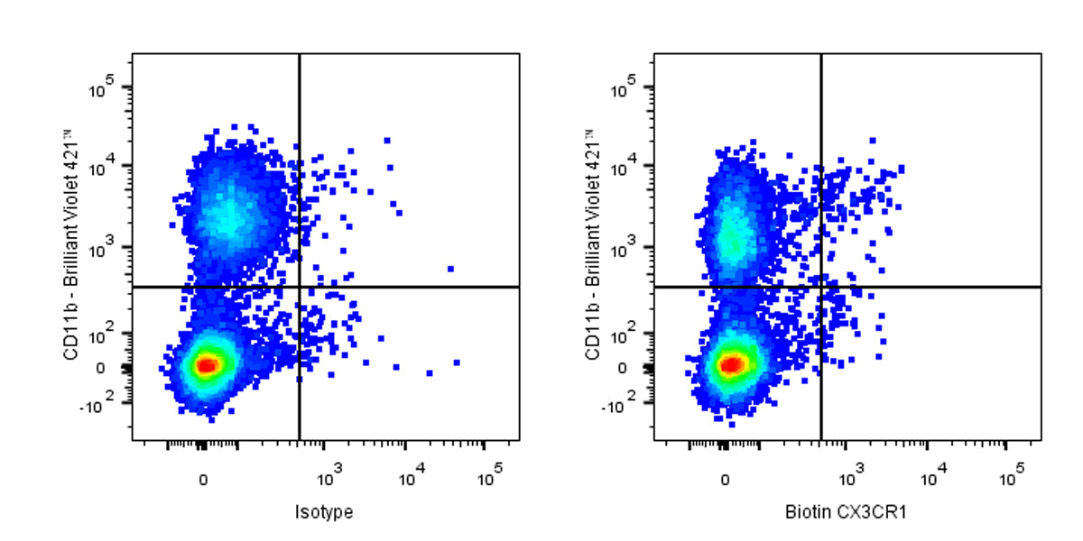 Biotin Mouse Anti-Mouse CX3CR1 Antibody (S-R597)