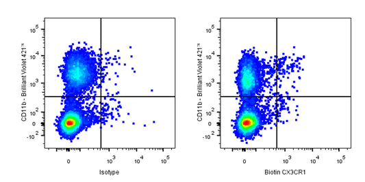 Biotin Mouse Anti-Mouse CX3CR1 Antibody (S-R597)