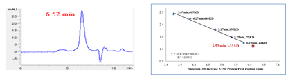 CDK4 Protein