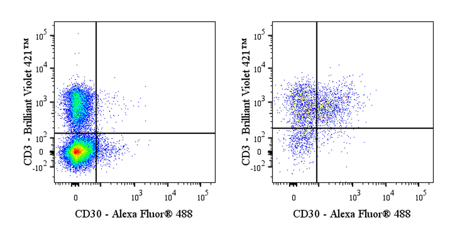 Alexa Fluor® 488 Armenian hamster Anti-Mouse CD30 Antibody (mCD30.1)