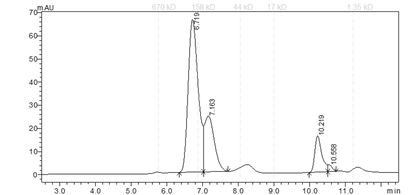 EPHA2 Protein