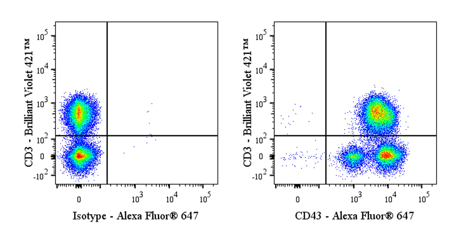 Alexa Fluor® 647 Rabbit Anti-Human CD43 Antibody (S-R101)
