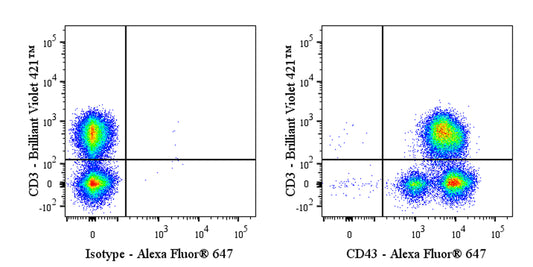 Alexa Fluor® 647 Rabbit Anti-Human CD43 Antibody (S-R101)