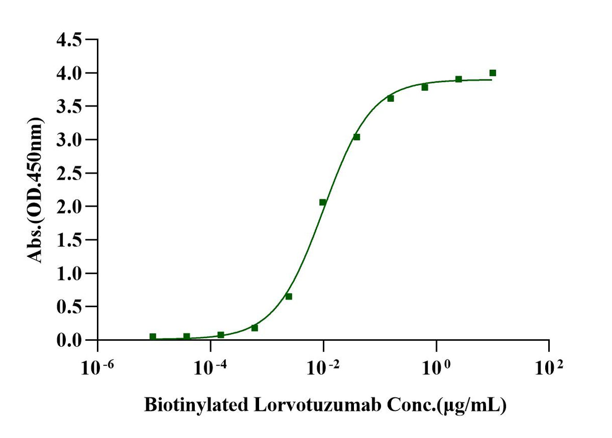 NCAM-1/CD56 Fc Chimera Protein, Human