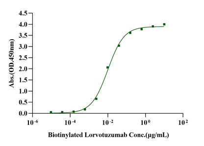 NCAM-1/CD56 Fc Chimera Protein, Human