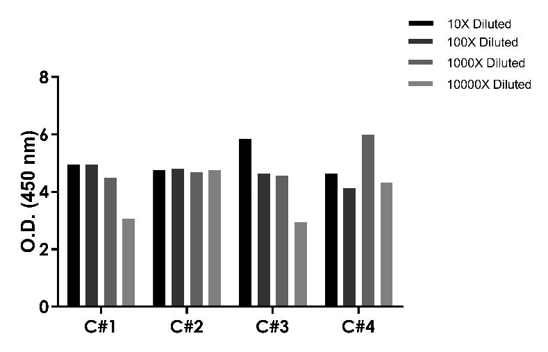 Protein A OneStep ELISA Kit